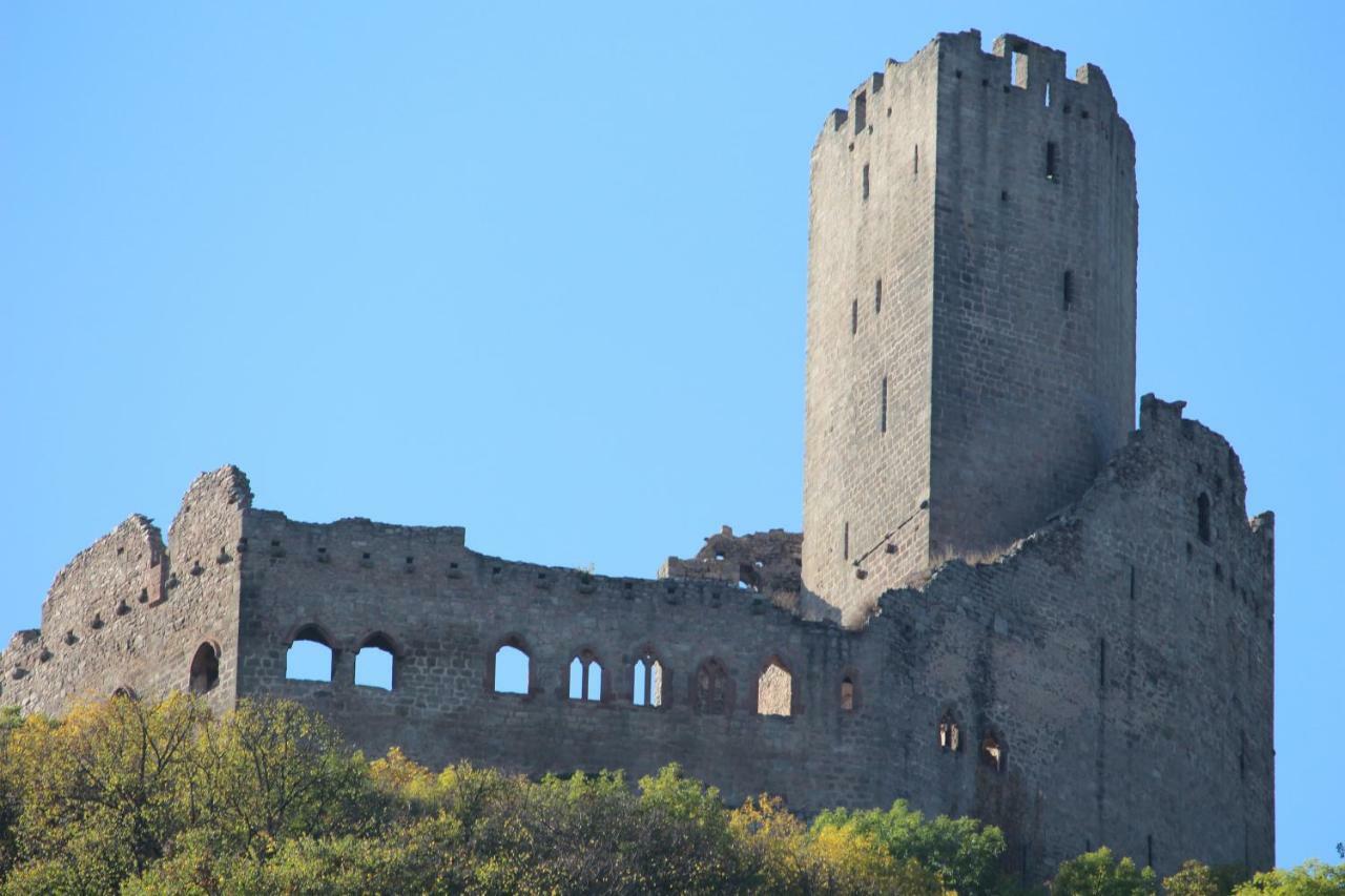 Gite Au Centre De L'Alsace Scherwiller Екстериор снимка